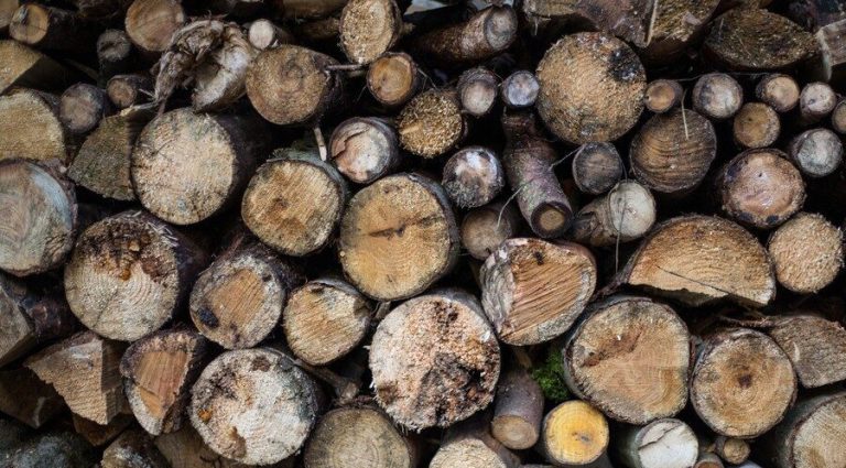 Firewood Inspection:
Our techs will gladly inspect your firewood during your chimney service, inspection or repair and let you know if it is stored properly, dry enough to burn and cut to the ideal size.